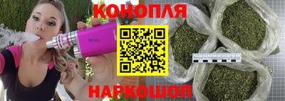 прущие крисы Пугачёв