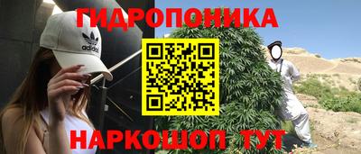 прущие крисы Пугачёв